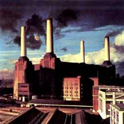 Pink Floyd : Animals